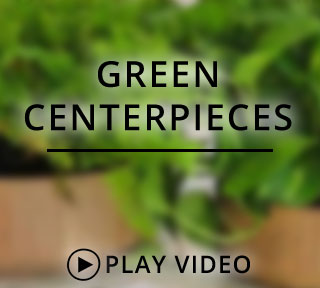 Green Centerpieces